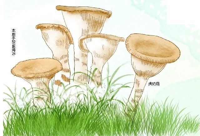 微信图片_20241216191357.jpg